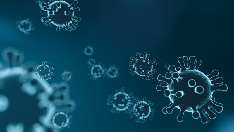 ¿Debemos preocuparnos por la nueva variante del coronavirus?